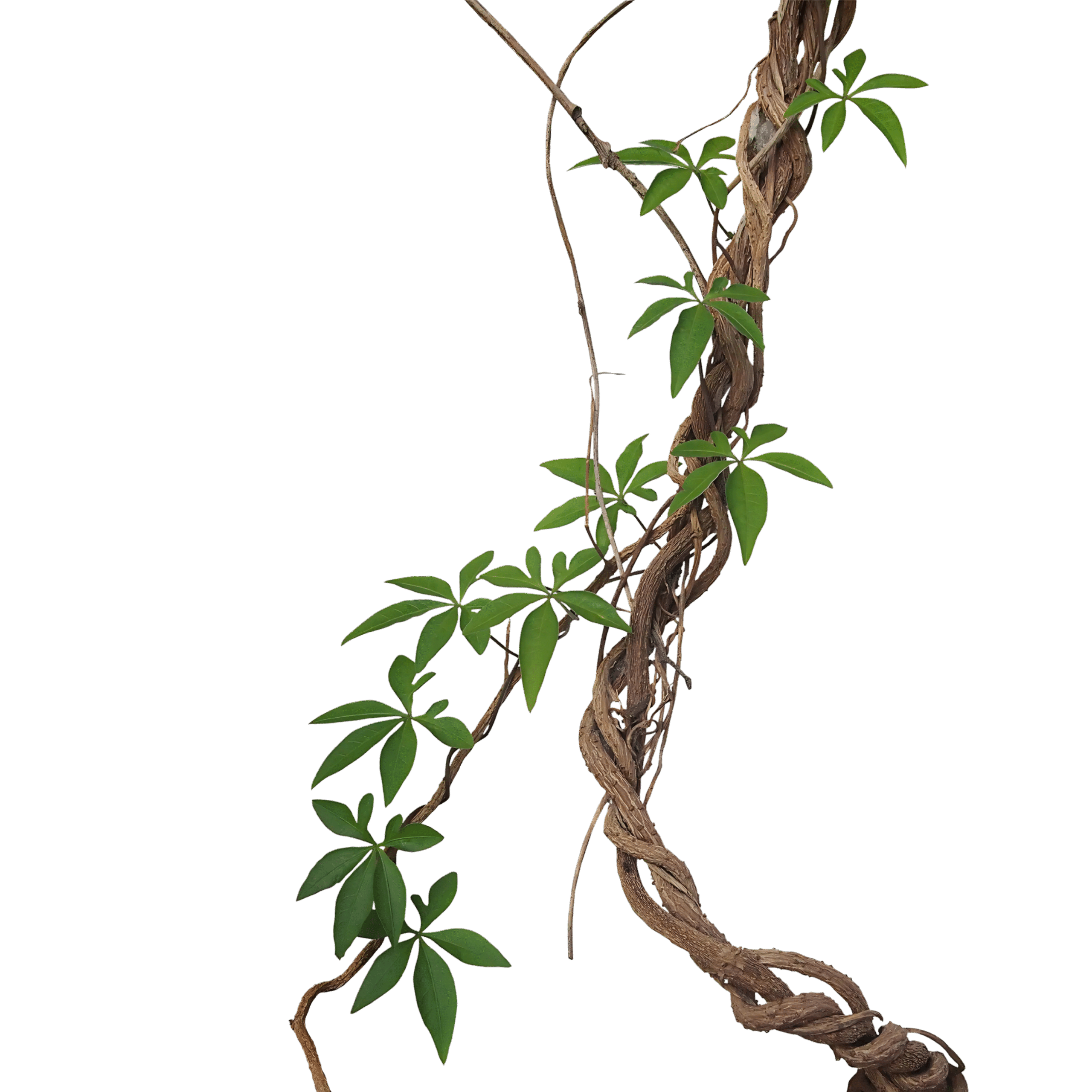 Truvie Product Right